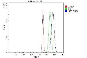 Flow Cytometry analysis of SiHa cells using anti-Histone H1.