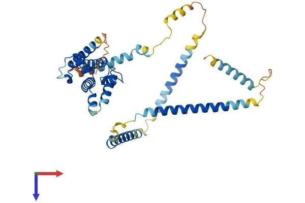 HAUS7 Protein (AA 1-364) (His tag)