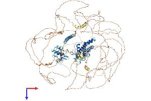 SYNRG Protein (AA 1-1306) (His tag)