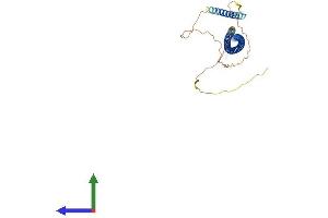 Protein Structure (PS) image for NudE Nuclear Distribution E Homolog (A. Nidulans)-Like 1 (NDEL1) (AA 1-345) protein (His tag) (ABIN7565054)