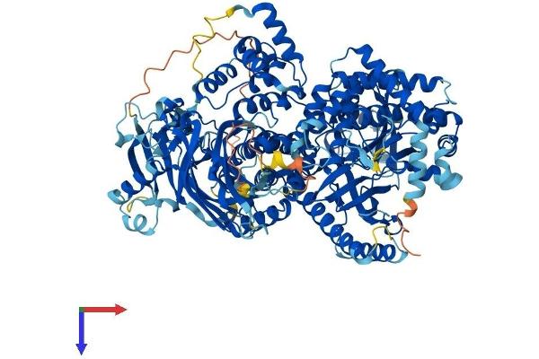 PIK3 gamma Protein (AA 1-1102) (His tag)
