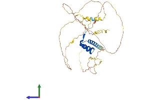 Protein Structure (PS) image for Motor Neuron and Pancreas Homeobox 1 (MNX1) (AA 1-404) protein (His tag) (ABIN7561844)