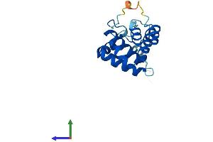 AlphaFold protein structure predicition of Human Recombinant ARPC5L Protein, UniprotID Q9BPX5
