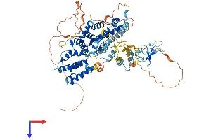 RASGRP3 Protein (AA 1-690) (His tag)