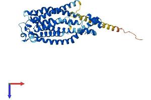 LASS3 Protein (AA 1-383) (His tag)
