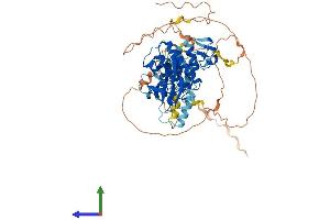 Protein Structure (PS) image for V-Raf Murine Sarcoma 3611 Viral Oncogene Homolog (ARAF) (AA 1-604) protein (His tag) (ABIN7562743)