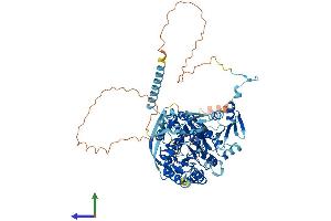 Protein Structure (PS) image for Cleavage and Polyadenylation Specific Factor 2, 100kDa (CPSF2) (AA 1-782) protein (His tag) (ABIN7553546)