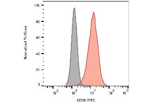 Surface staining of CD90 in Jurkat cells with anti-CD90 (5E10) FITC. (CD90 Antikörper  (FITC))