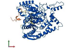 AlphaFold protein structure predicition of Mouse Recombinant Qrsl1 Protein, UniprotID Q9CZN8 (QRSL1 Protein (AA 1-525) (His tag))