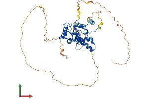 Protein Structure (PS) image for Nuclear Factor I/B (NFIB) (AA 1-420) protein (His tag) (ABIN7549699)