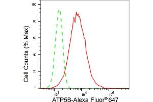 Flow cytometric analysis of ATP5B expression in HepG2 cells using ATP5B antibody (ABIN7797681), 1:2,000).