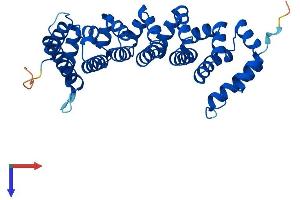 CAB39 Protein (AA 1-341) (His tag)