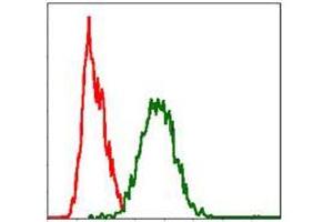 Flow Cytometry (FACS) image for anti-TNF Receptor Superfamily, Member 6 (FAS) antibody (ABIN969518)