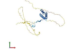 AlphaFold protein structure predicition of Mouse Recombinant Bsx Protein, UniprotID Q810B3 (BSX Protein (AA 1-232) (His tag))