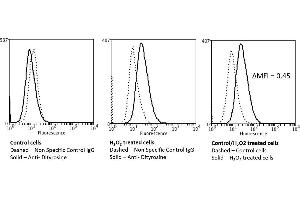Flow Cytometry analysis using Mouse Anti-Dityrosine Monoclonal Antibody, Clone 10A6 (ABIN5067480). (Dityrosine Antikörper  (Biotin))