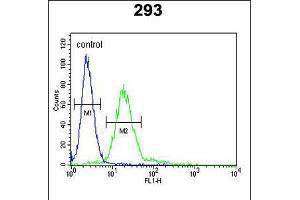Flow cytometric analysis of 293 cells (right histogram) compared to a negative control cell (left histogram). (MPP6 Antikörper  (AA 360-388))