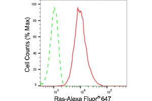 Flow cytometric analysis of Ras expression in HepG2 cells using Ras antibody (ABIN7799627), 1:2,000). (Rekombinanter NRAS/HRAS/KRAS Antikörper)