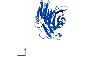 Protein Structure (PS) image for Chromosome 16 Open Reading Frame 80 (C16orf80) (AA 1-193) protein (His tag) (ABIN7558883)