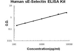Human sE-Selectin PicoKine ELISA Kit standard curve