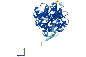 Protein Structure (PS) image for UDP-Glucose Ceramide Glucosyltransferase (UGCG) (AA 1-394) protein (His tag) (ABIN7553349)