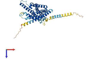FPR3 Protein (AA 1-351) (His tag)