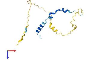 PNRC2 Protein (AA 1-139) (His tag)
