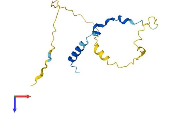 PNRC2 Protein (AA 1-139) (His tag)