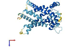 AlphaFold protein structure predicition of Human Recombinant SLC25A19 Protein, UniprotID Q9HC21 (SLC25A19 Protein (AA 1-320) (His tag))