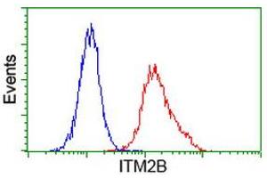 Image no. 3 for anti-Integral Membrane Protein 2B (ITM2B) antibody (ABIN1496395) (ITM2B Antikörper)