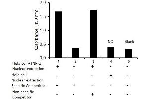 Activity Assay (AcA) image for Nuclear Factor-kB p65 (NFkBP65) ELISA Kit (ABIN4889784)