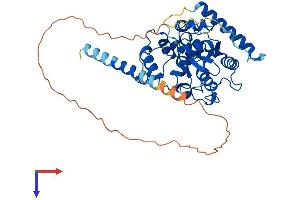CHST9 Protein (AA 1-413) (His tag)