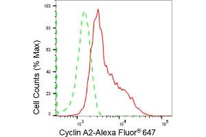 Flow cytometric analysis of Cyclin A2 expression in HepG2 cells using Cyclin A2 antibody (ABIN7798186), 1:2,000). (Rekombinanter Cyclin A Antikörper)