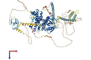 ARHGEF2 Protein (AA 1-986) (His tag)