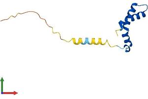 AlphaFold protein structure predicition of Mouse Recombinant Dpy30 Protein, UniprotID Q99LT0 (DPY30 Protein (AA 1-99) (His tag))