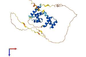 POU1F1 Protein (AA 1-291) (His tag)