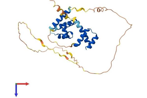 POU1F1 Protein (AA 1-291) (His tag)