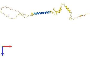 NSG2 Protein (AA 1-171) (His tag)