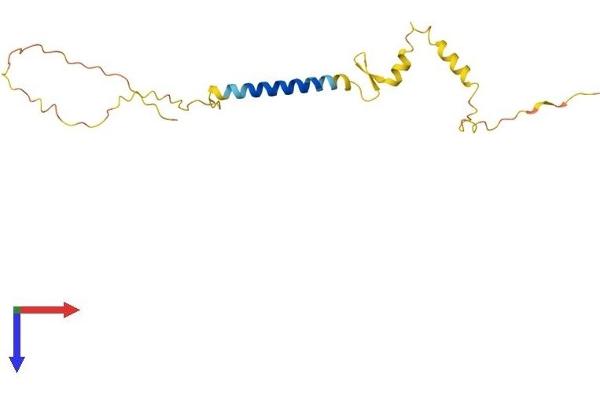 NSG2 Protein (AA 1-171) (His tag)