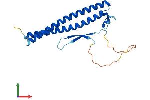Protein Structure (PS) image for Coiled-Coil Domain Containing 115 (CCDC115) (AA 1-180) protein (His tag) (ABIN7559897)