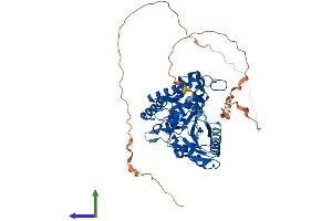 Protein Structure (PS) image for Chromosome 6 Open Reading Frame 150 (C6orf150) (AA 1-507) protein (His tag) (ABIN7564520)