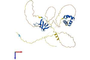 SASH3 Protein (AA 1-380) (His tag)