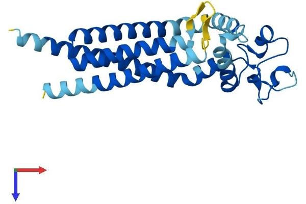 Tetraspanin 9 Protein (TSPAN9) (AA 1-239) (His tag)