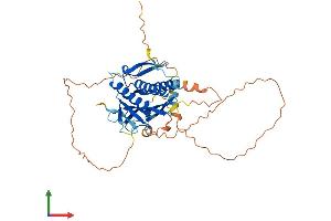 Protein Structure (PS) image for HORMA Domain Containing 1 (HORMAD1) (AA 1-394) protein (His tag) (ABIN7548321)