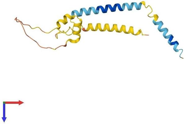 F162A Protein (AA 1-155) (His tag)