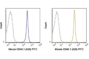 Flow Cytometry of anti-CD45. (CD45 Antikörper  (FITC))