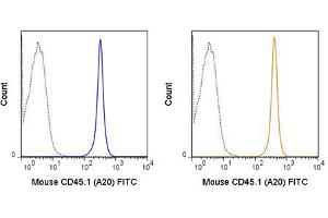 Flow Cytometry of anti-CD45.