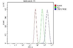 Flow Cytometry analysis of U87 cells using anti-CTBP2 antibody (ABIN7601326). (CTBP2 Antikörper  (AA 321-445))