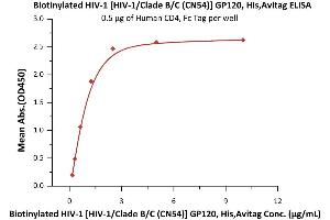 Immobilized Human CD4, Fc Tag (ABIN2180789,ABIN2180788) at 5 μg/mL (100 μL/well) can bind Biotinylated HIV-1 [HIV-1/Clade B/C (CN54)] GP120, His,Avitag (6) with a linear range of 0.