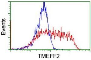 HEK293T cells transfected with either RC203736 overexpress plasmid (Red) or empty vector control plasmid (Blue) were immunostained by anti-TMEFF2 antibody (ABIN2455705), and then analyzed by flow cytometry. (TMEFF2 Antikörper)