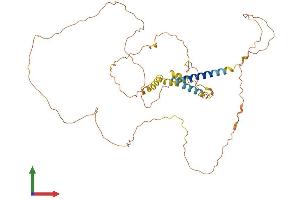 Protein Structure (PS) image for Adherens Junctions Associated Protein 1 (AJAP1) (AA 1-411) protein (His tag) (ABIN7552077)